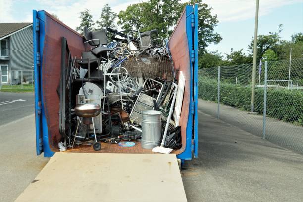 Best Junk Hauling Services  in Stony Point, MI