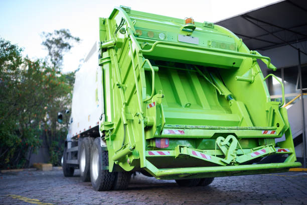 Best Yard Cleanup Services  in Stony Point, MI