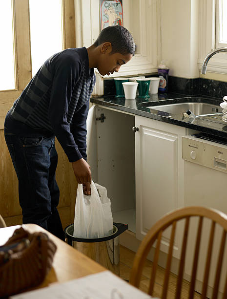 Professional Junk Removal in Stony Point, MI